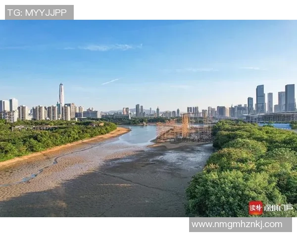 深圳排球队的蜕变之路:从默默无闻到世界舞台的闪耀之旅 深圳排球队的蜕变之路:从默默无闻到世界舞台的闪耀之旅