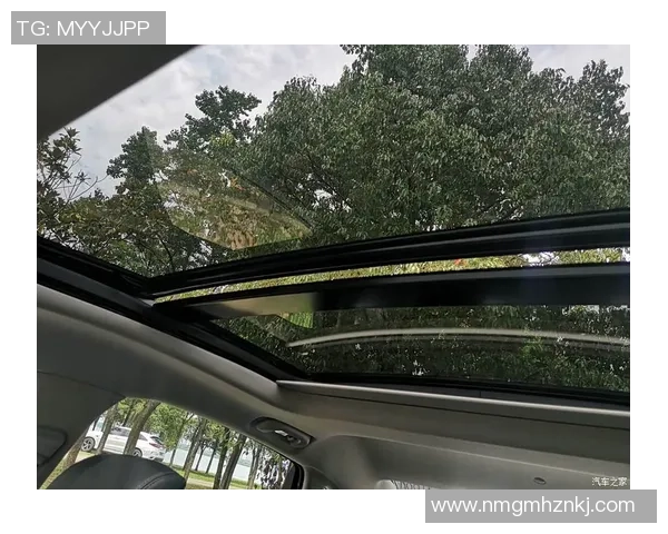 深圳羽毛球队与武汉羽毛球队耐力较量赛后分析与总结 深圳羽毛球队与武汉羽毛球队耐力较量赛后分析与总结