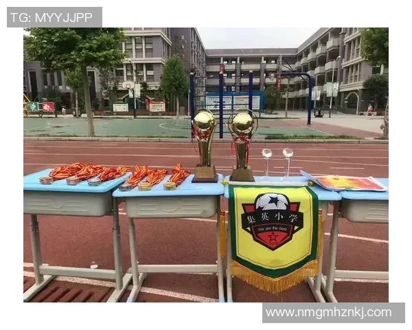 用石头绘制足球明星的艺术创作探索与技巧分享 用石头绘制足球明星的艺术创作探索与技巧分享