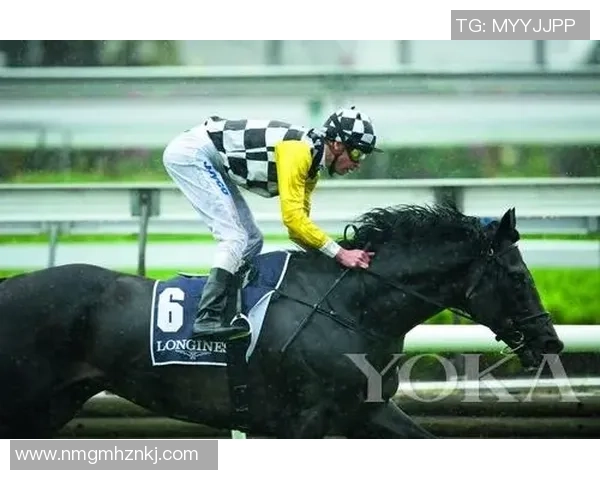 西安大师赛分析:球队耐力表现的关键因素与影响 西安大师赛分析:球队耐力表现的关键因素与影响