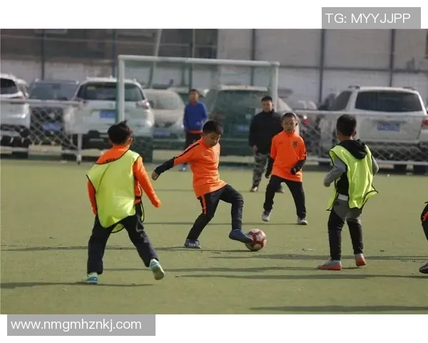 足球明星的训练秘笈揭秘如何通过科学方法提升竞技水平与身体素质