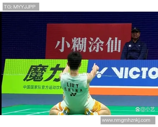 羽毛球深度：解密武汉羽毛球队的防反