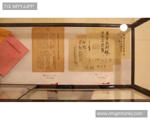 飞盘焦点：广州飞盘队的团队协作探讨_1