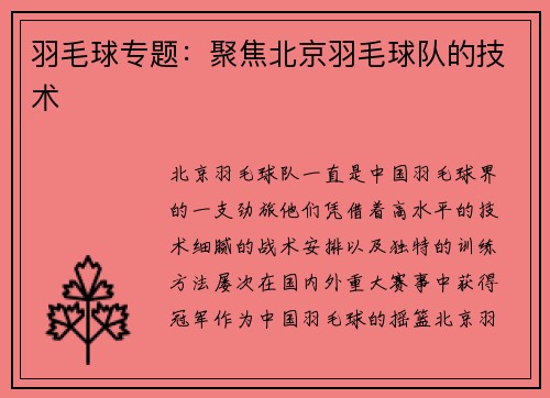 羽毛球专题：聚焦北京羽毛球队的技术